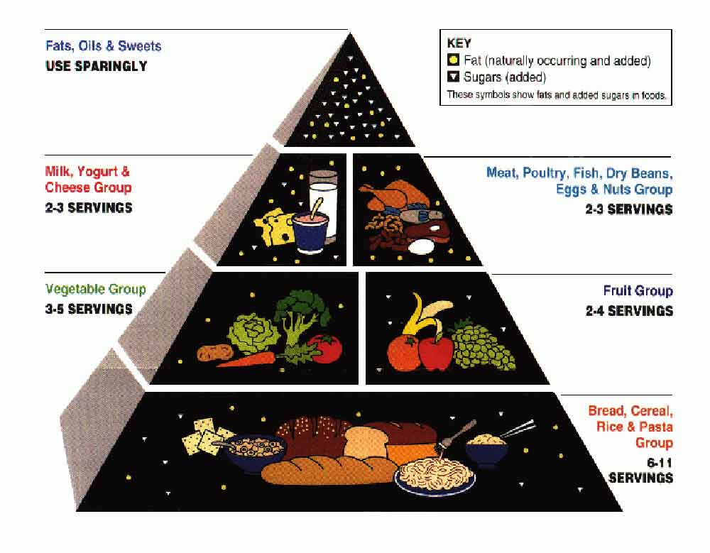 food-guide-pyramid