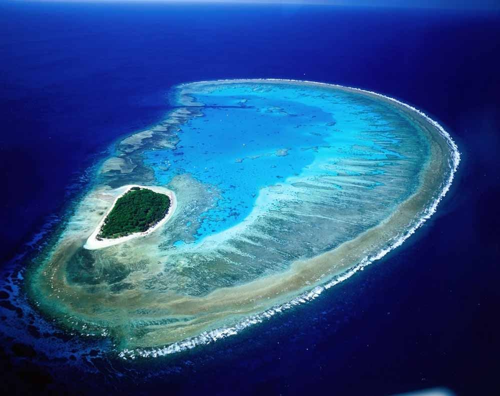 lady-musgrave-island-australia