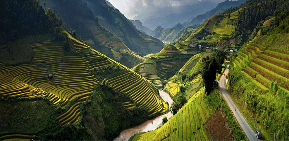 rice-terrace-fields-vietnam-1
