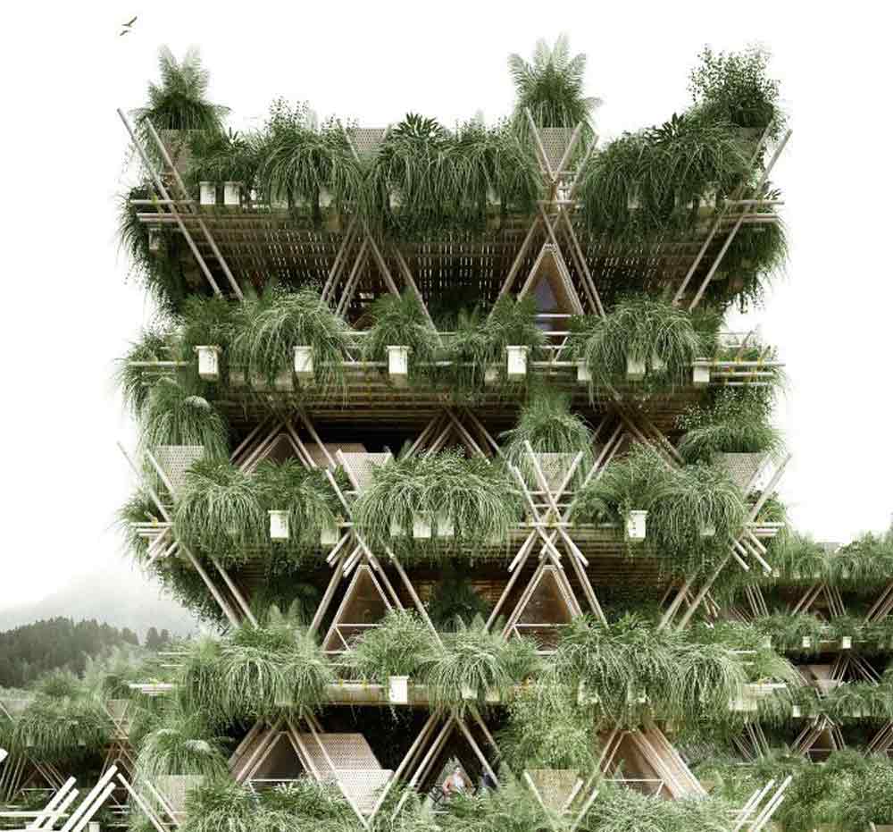 bamboo-house-5