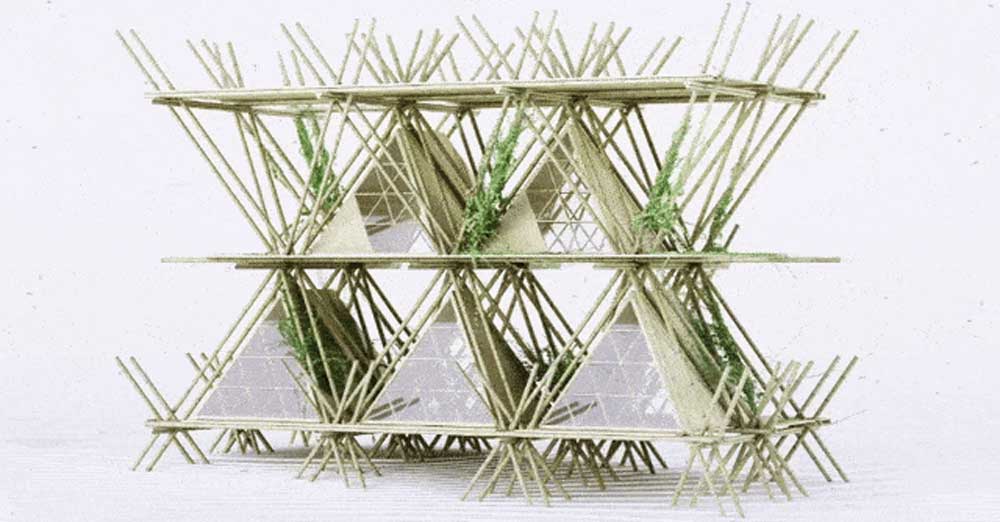 bamboo-house-7