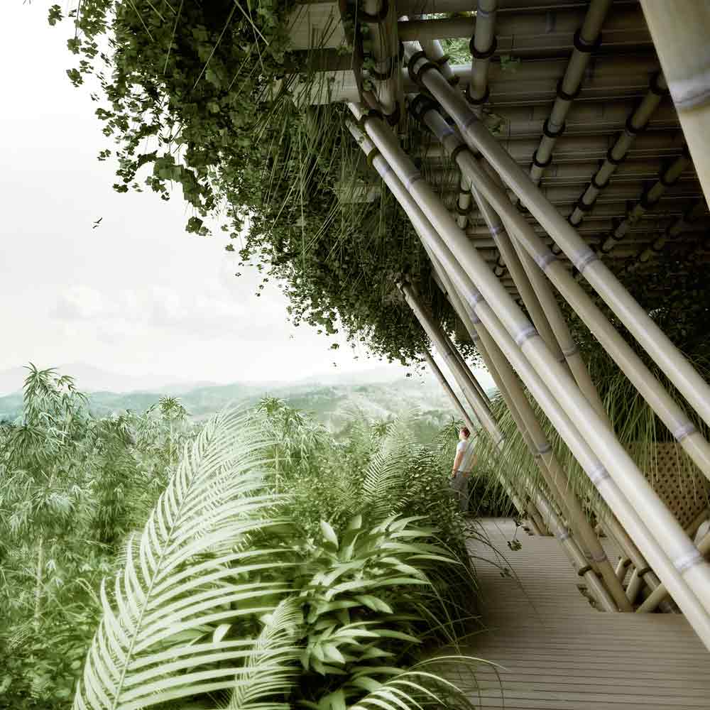 bamboo-house-8