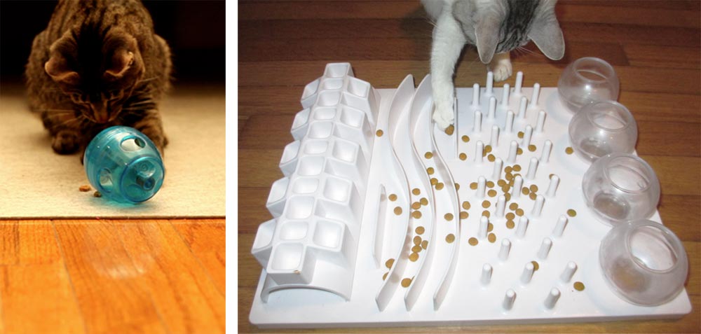 cat-food-puzzle-2