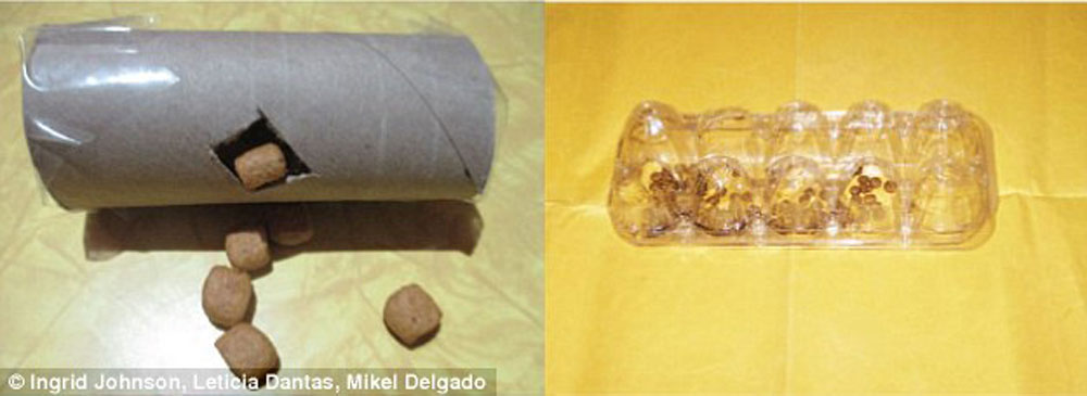 cat-food-puzzle-3