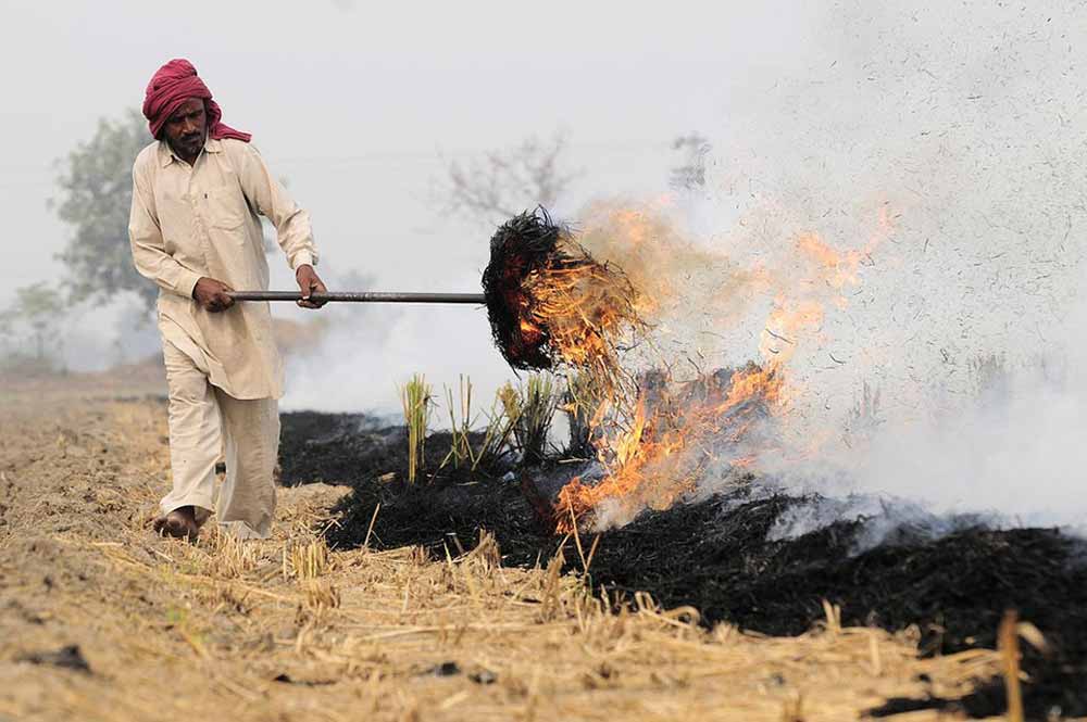 new-delhi-air-pollution-5