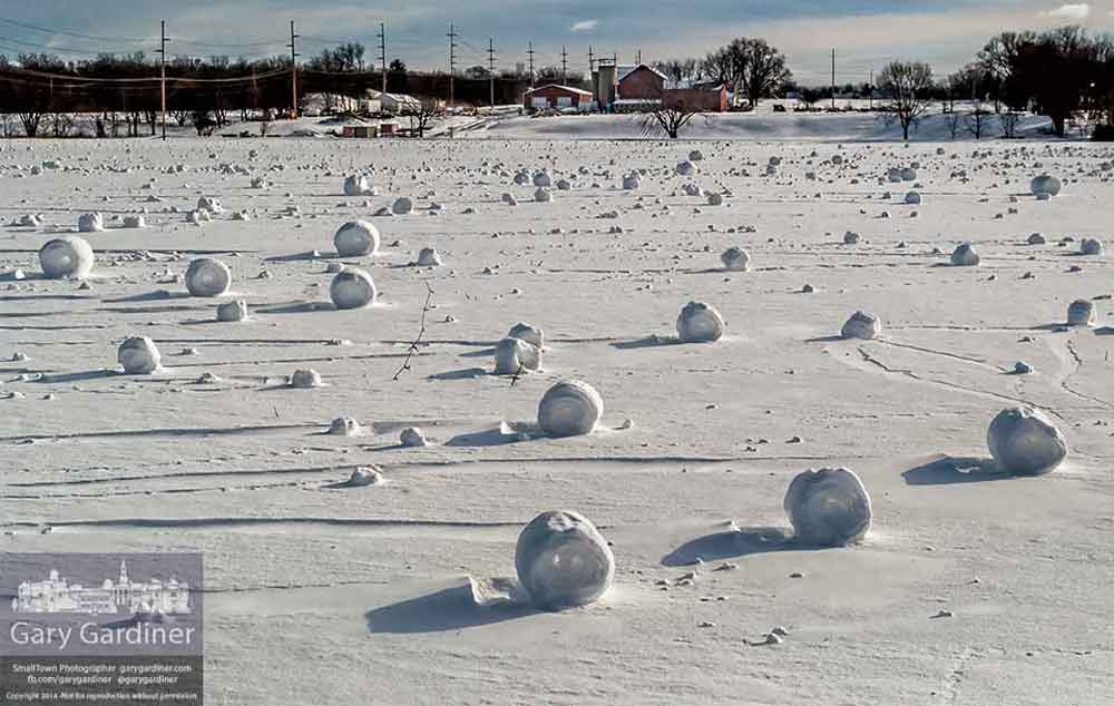 siberian-beach-snowballs-4