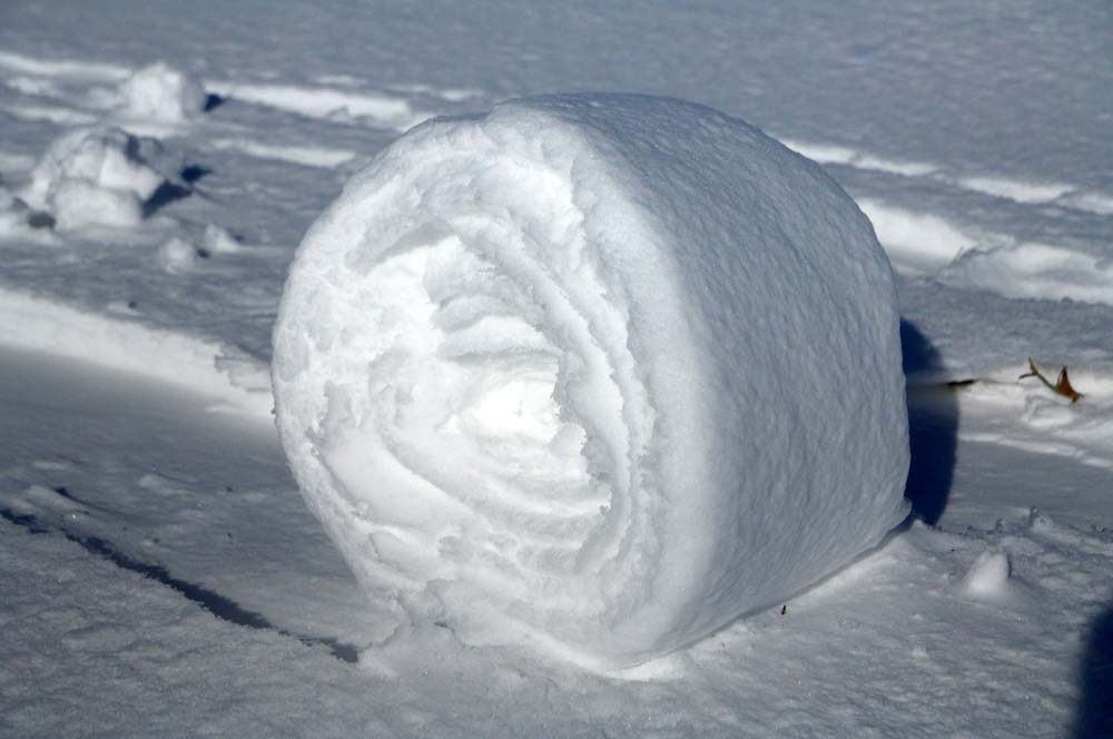 siberian-beach-snowballs-5