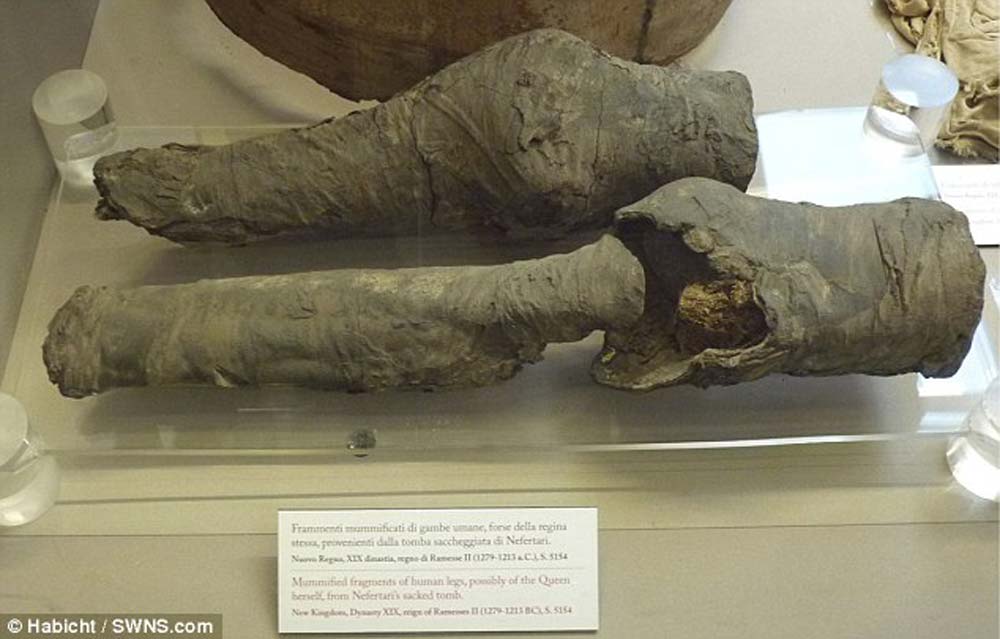 mystery-mummified-legs-2