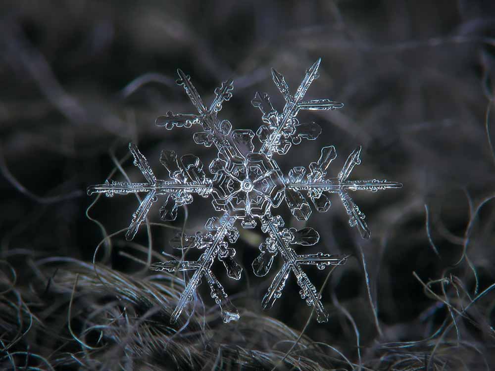snowflake-03