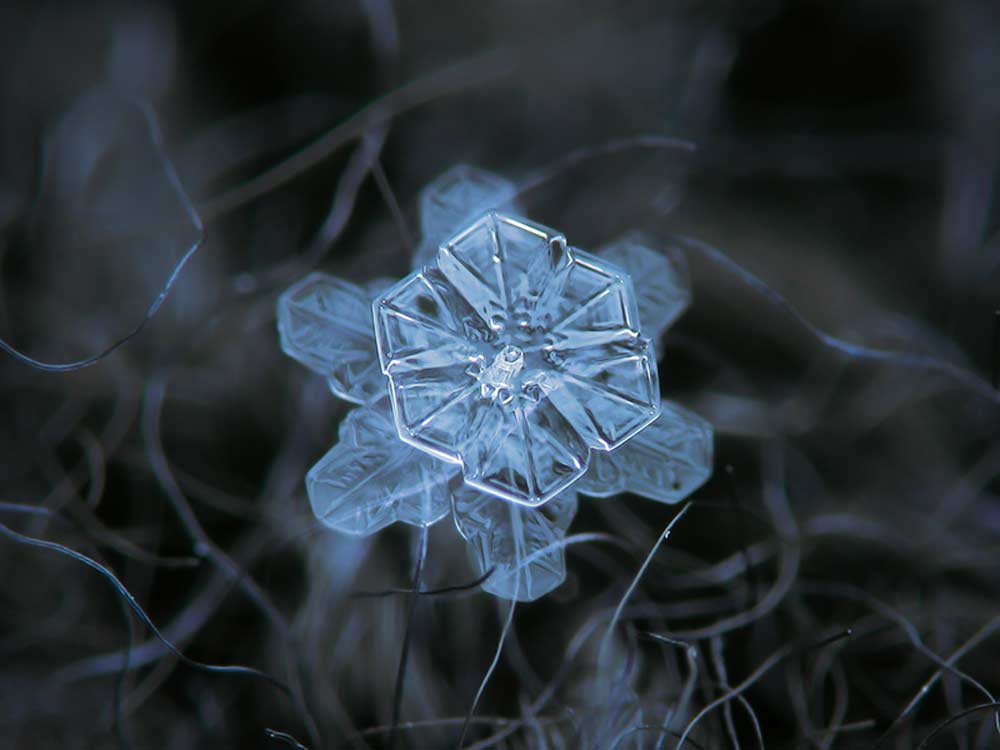 snowflake-06