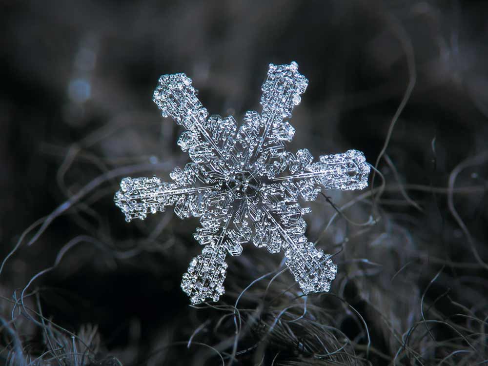 snowflake-08