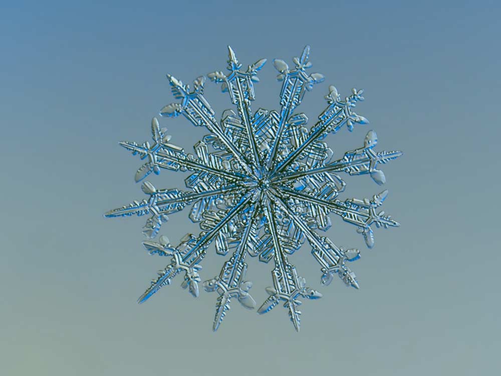 snowflake-12