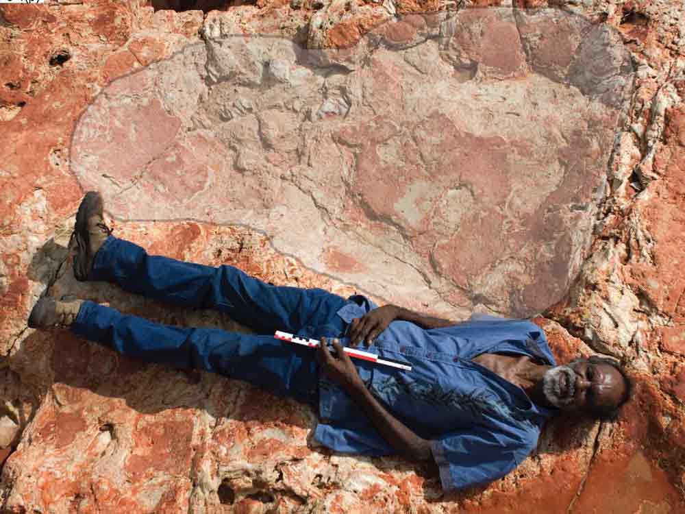 dinosaur-footprint-australia-2