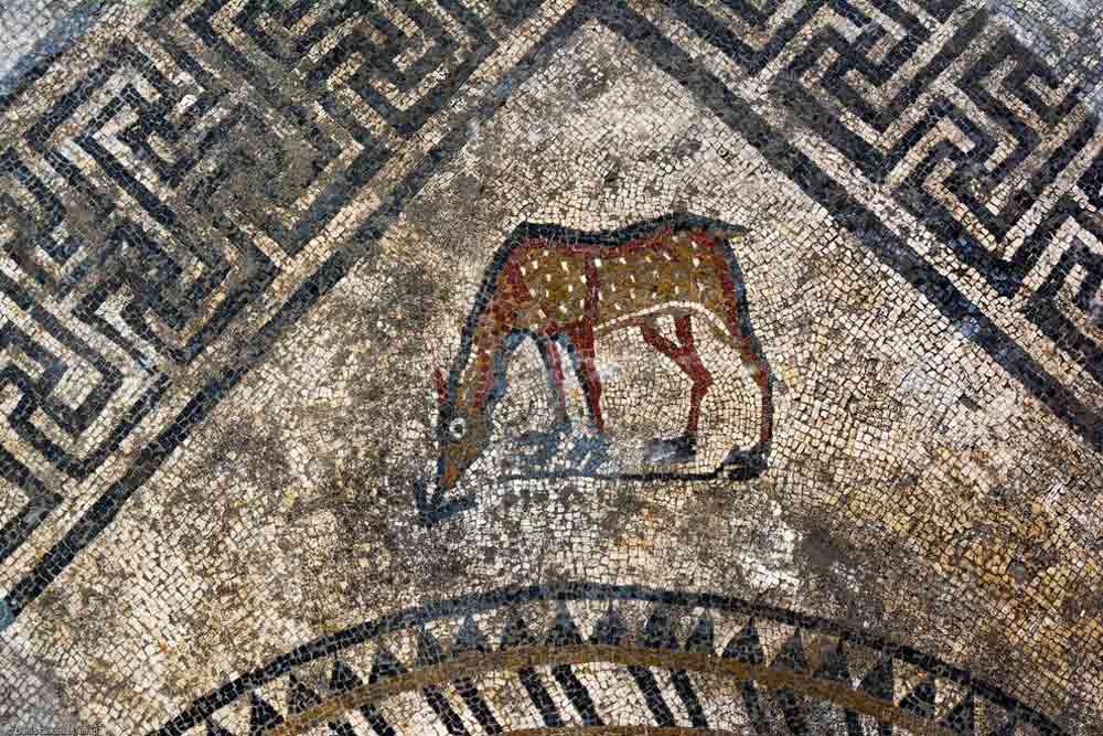 mosaic-roman-city-france-5