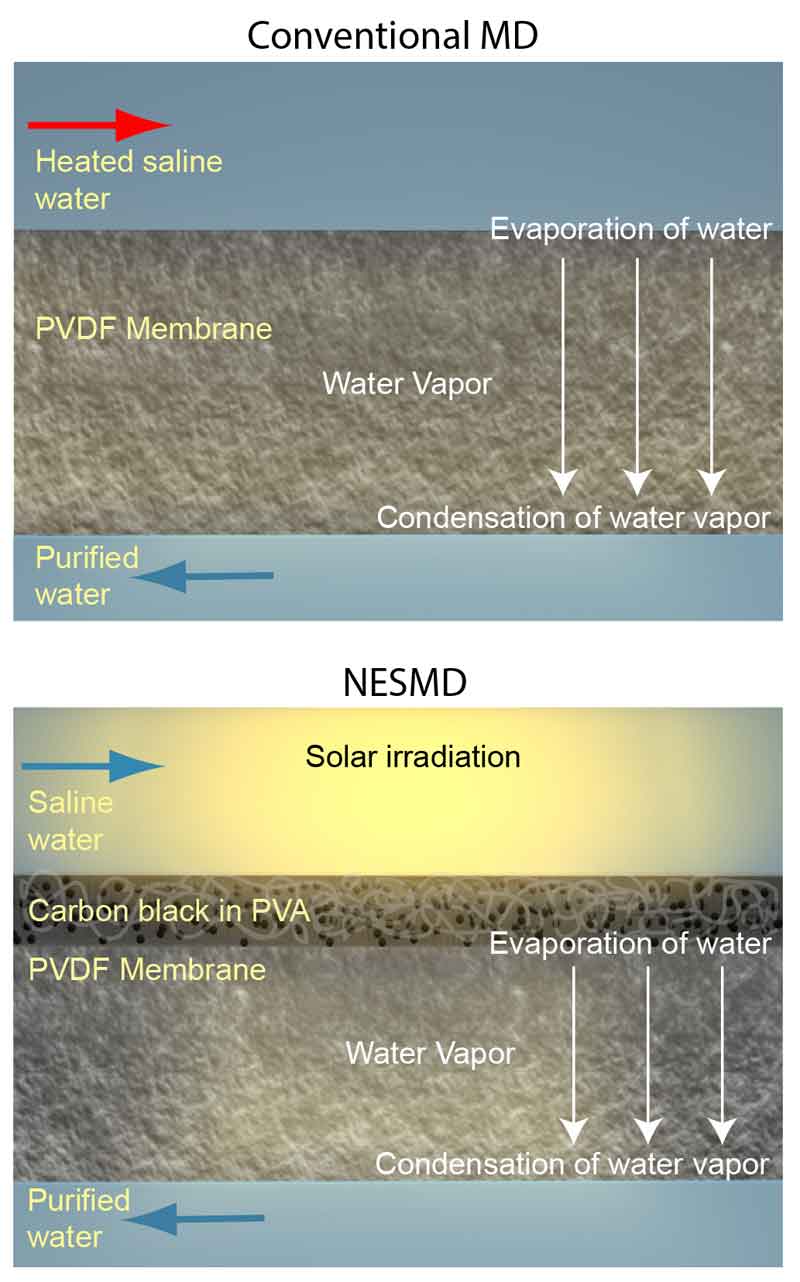 newt-desalination-3