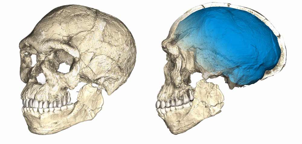 oldest-homo-sapiens-fossil-4