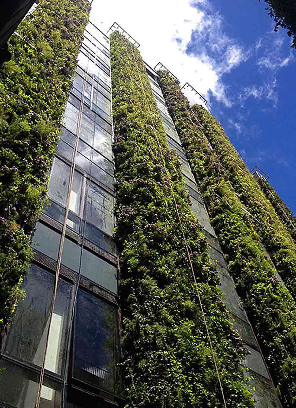 vertical-garden-edificio-santalaia-3