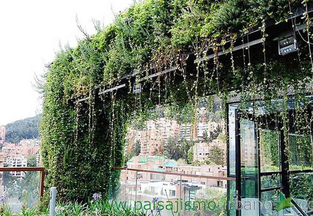 vertical-garden-edificio-santalaia-6