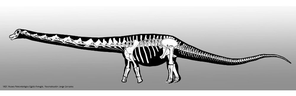 patagotitan-4