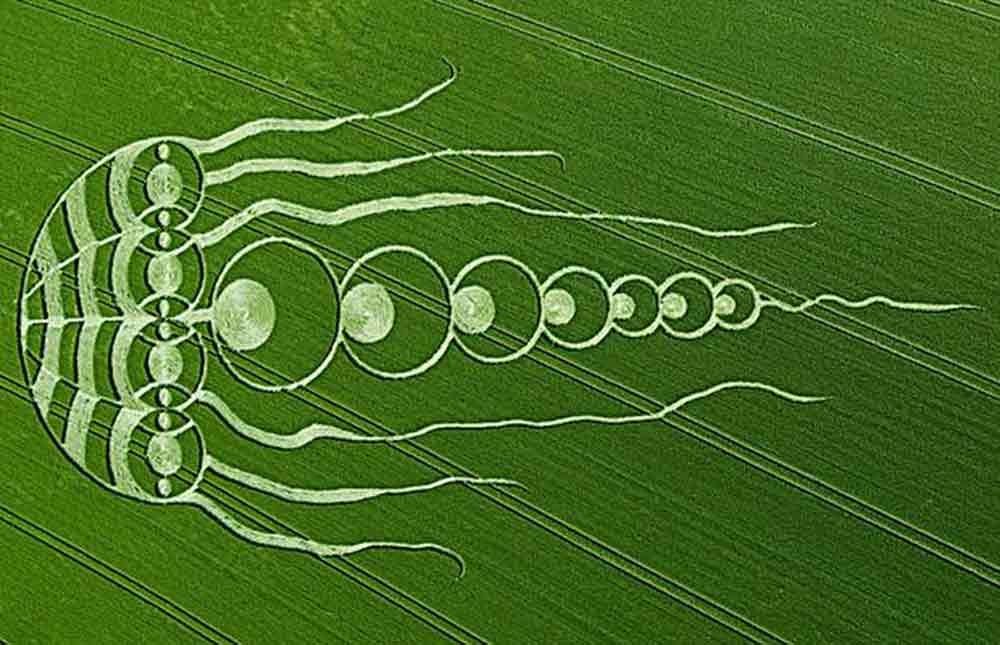 crop-circles-16