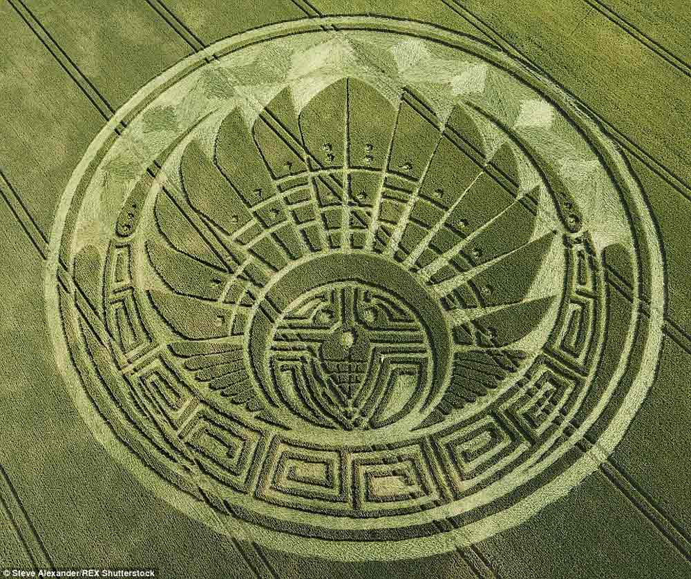 crop-circles-17