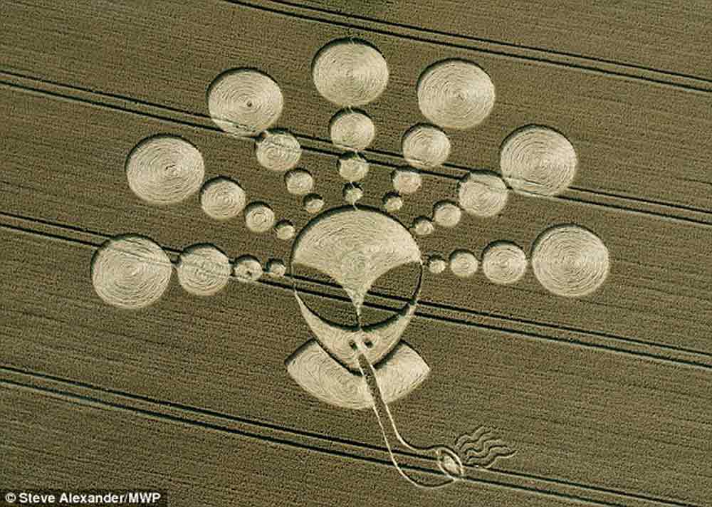 crop-circles-18