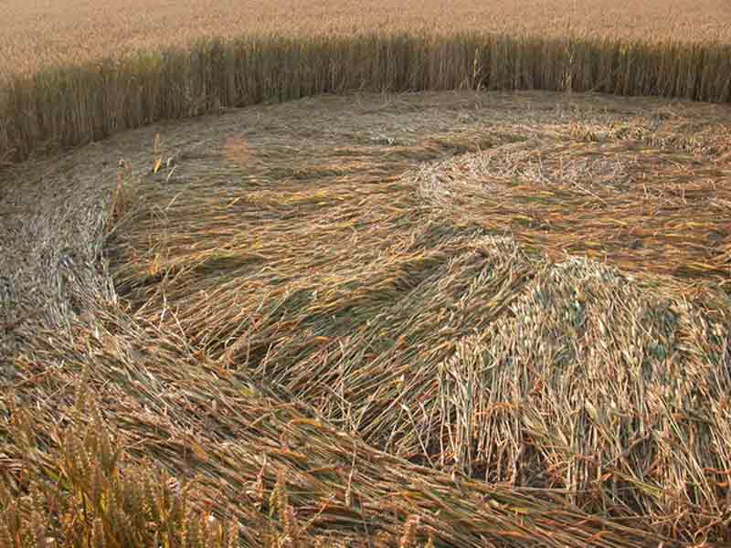 crop-circles-2