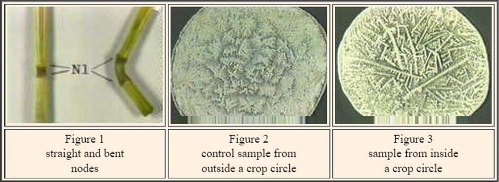 crop-circles-20