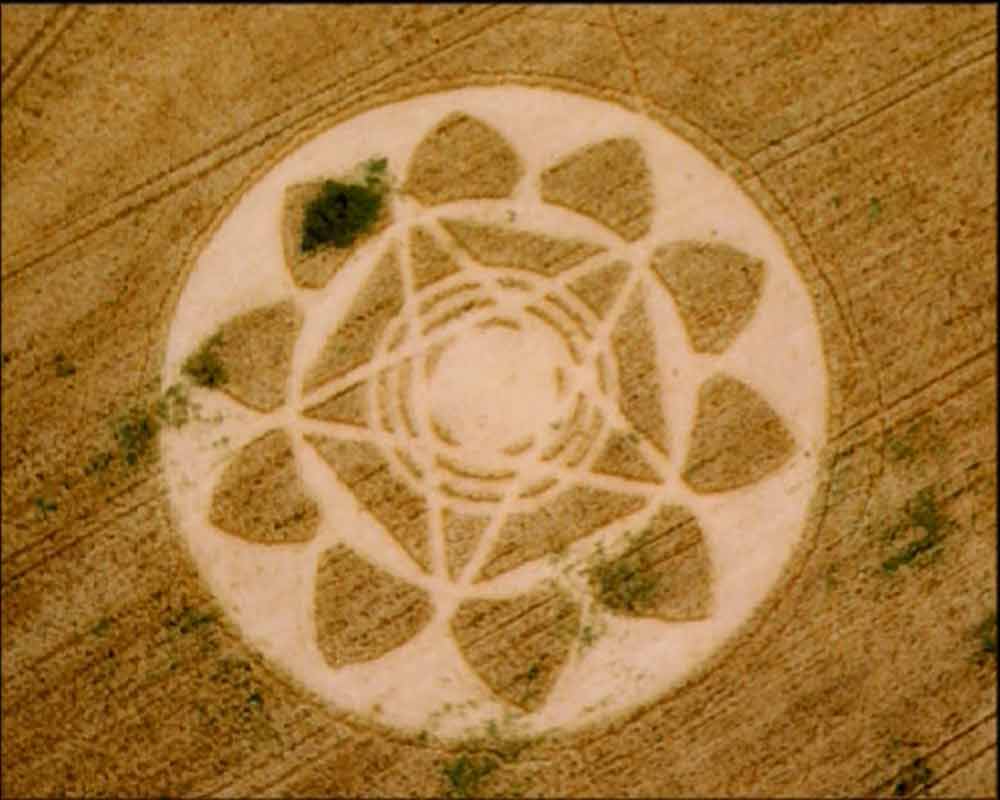 crop-circles-8