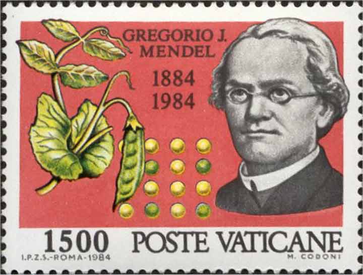 gregor-mendel-2