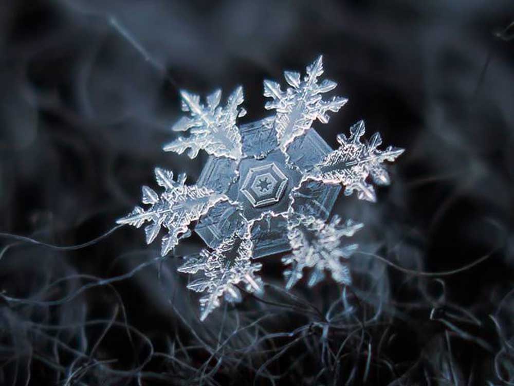 snowflake-02
