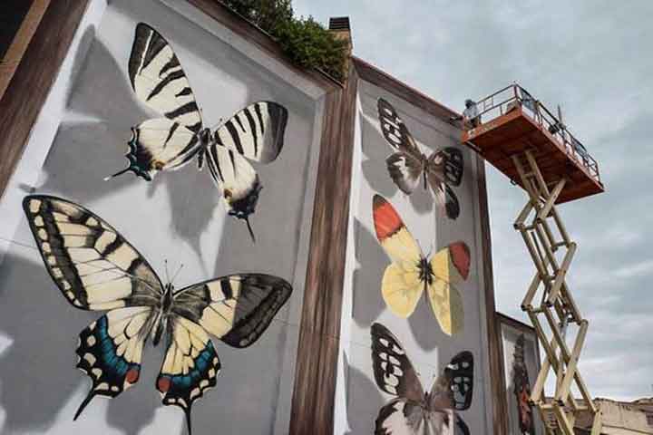 butterfly-murals-mantra-2