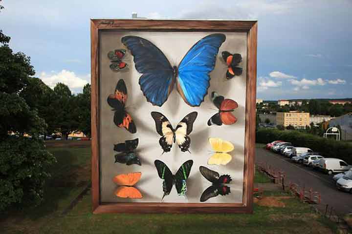 butterfly-murals-mantra-5