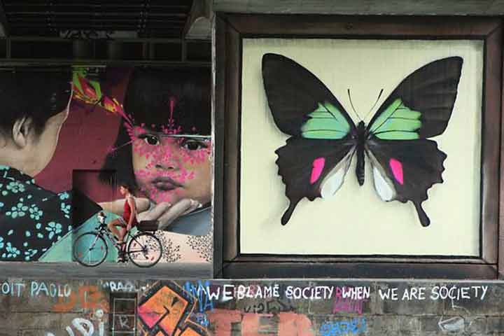 butterfly-murals-mantra-6