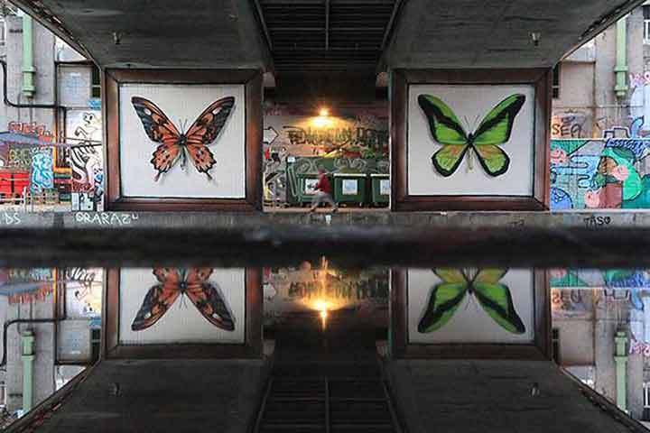 butterfly-murals-mantra-7