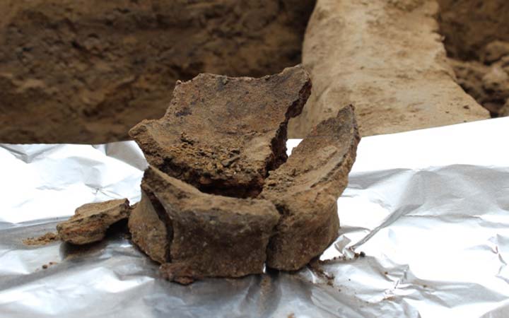 ขุดพบไหใส่ไวน์เก่าแก่ที่สุดในโลกจากยุคหินอายุ 8,000 ปีในประเทศจอร์เจีย