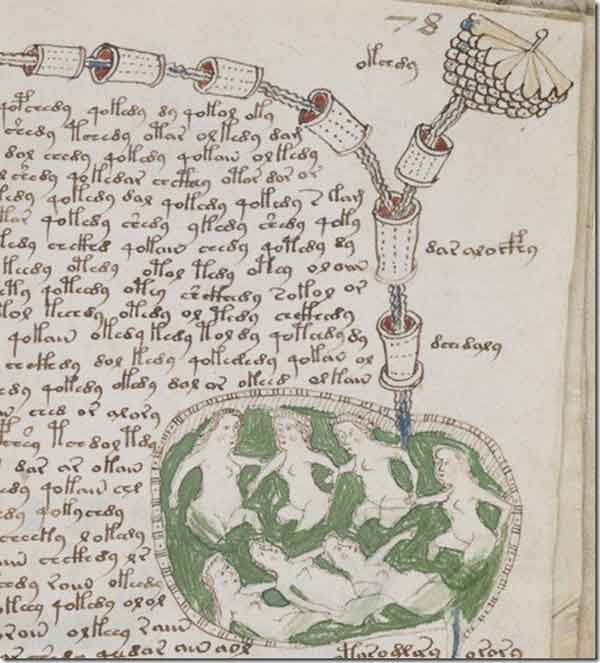 voynich-manuscript-decode-4
