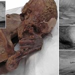พบรอยสักรูปสัตว์เก่าแก่ที่สุดในโลกบนร่างมัมมี่อียิปต์อายุ 5,000 ปี