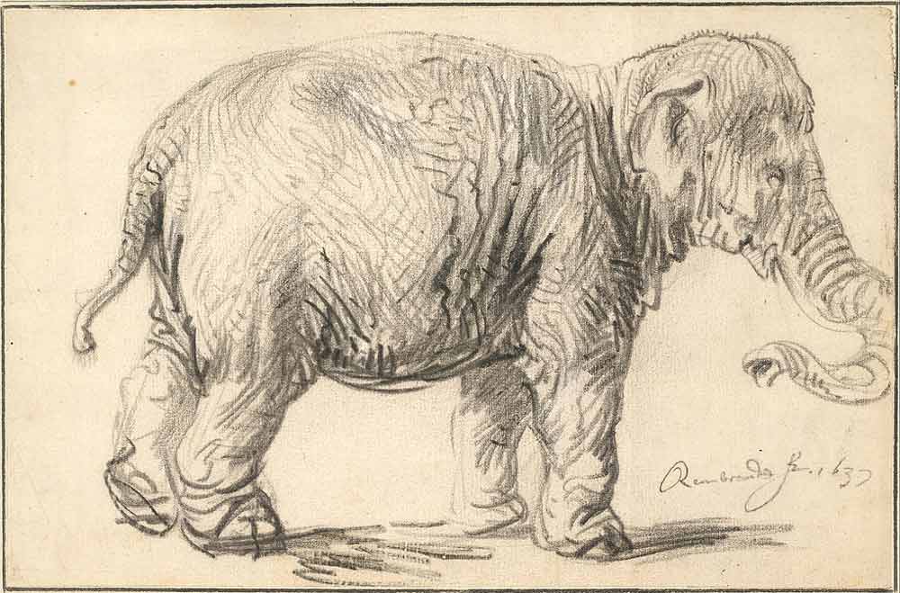 rembrandt-etchings-and-drawings-15