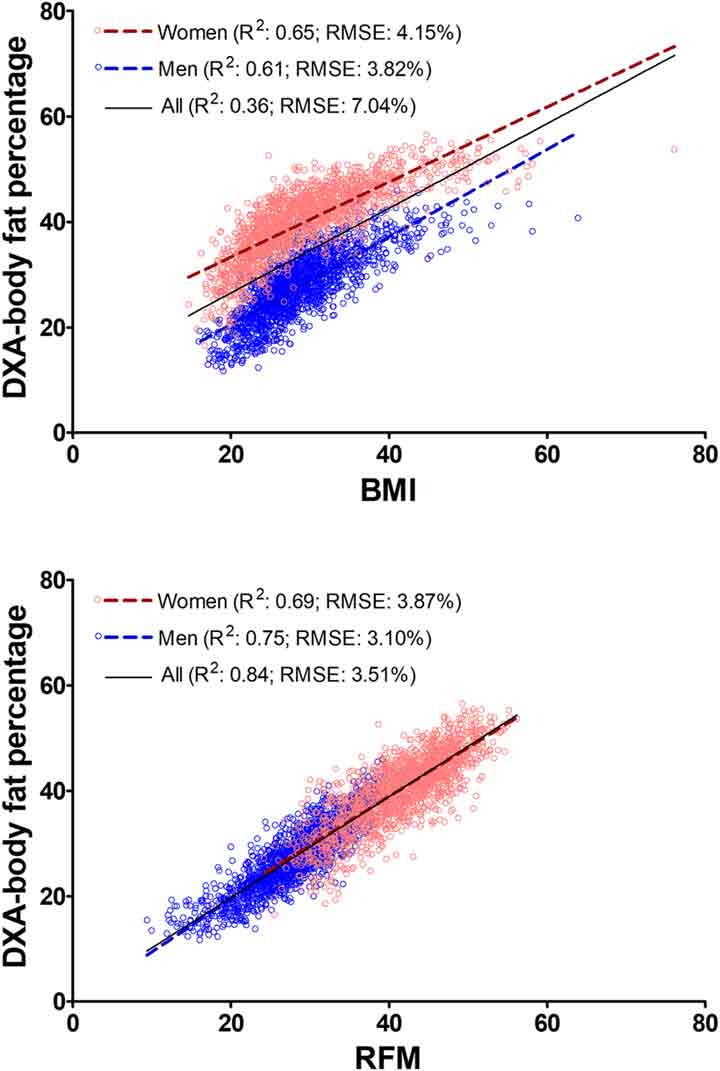 relative-fat-mass-2