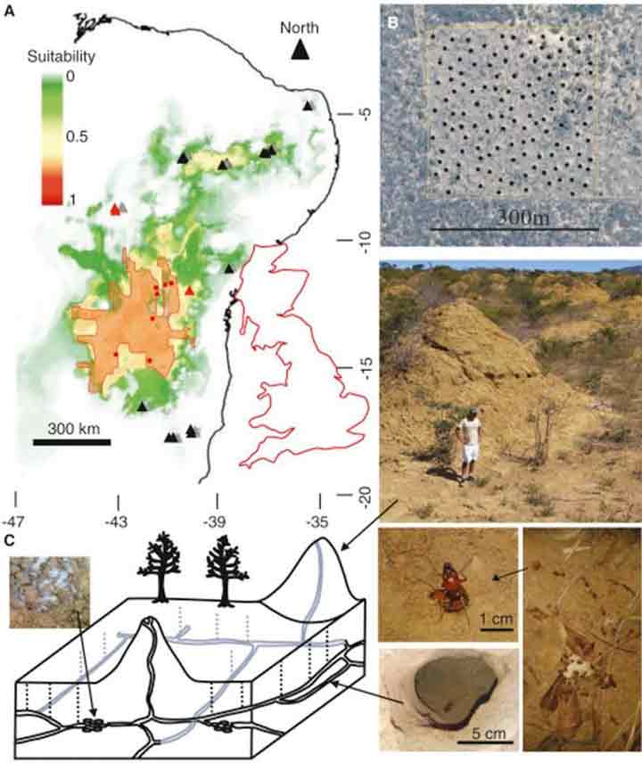 4000-years-massive-termite-mounds-2