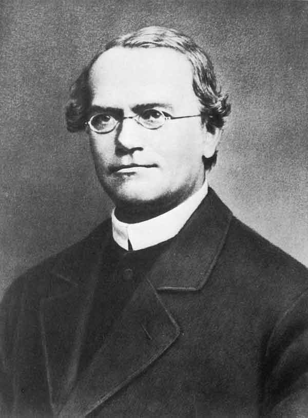 gregor-mendel-3