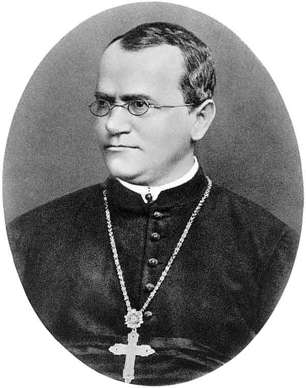 gregor-mendel-9