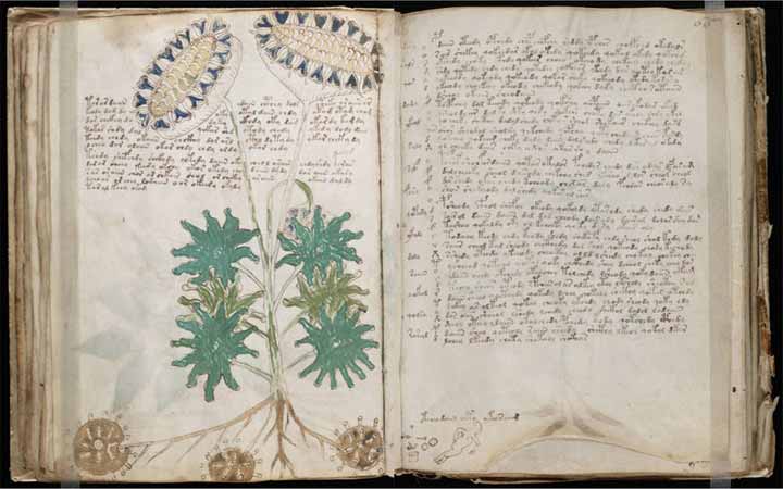 นักวิจัยอังกฤษไขปริศนาหนังสือลึกลับที่สุดในโลก Voynich Manuscript สำเร็จแล้ว?