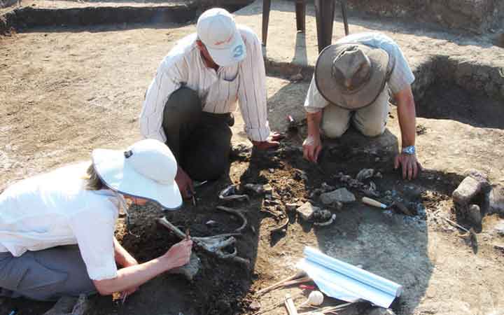 ขุดพบกระดูกของนักรบโบราณฝ่ายกบฏที่ถูกบรรยายในศิลาจารึก Rosetta Stone