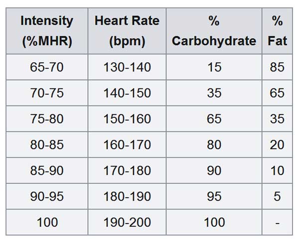 fat-burning-zone-3