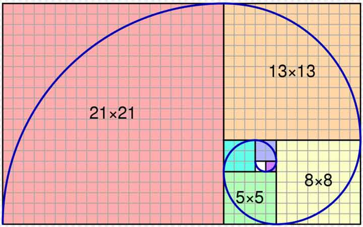 golden-ratio-in-nature-3