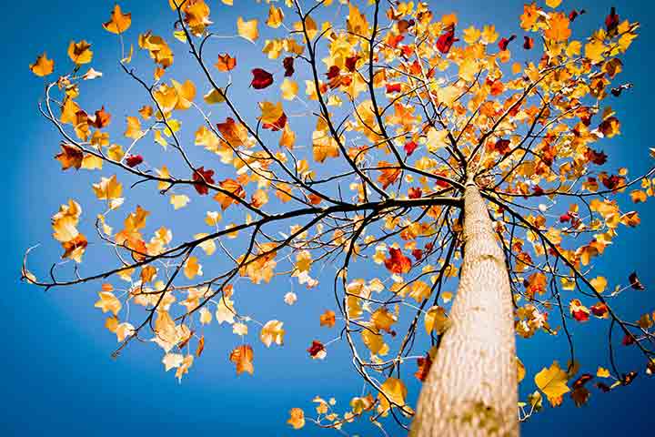 blue-autumn-sky-3