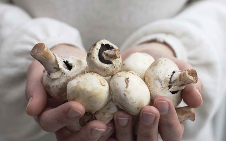 7-surprising-health-benefits-of-mushrooms-01
