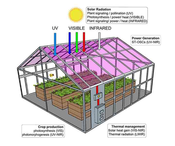 semi-transparent-solar-cells-2